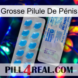 Grosse Pilule De Pénis new15